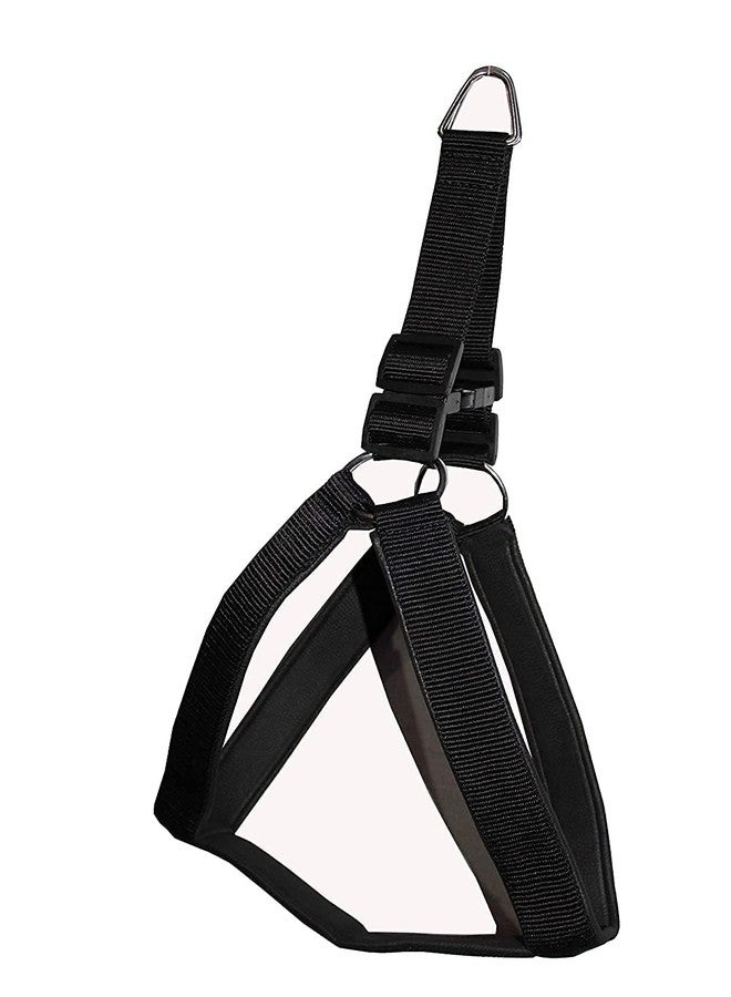 KittuPet حزام ومقود للكلاب قابل للتعديل ومبطن بالنايلون من KittuPet (1.25 بوصة، أسود) - Image 3